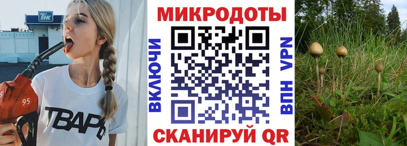 Купить где  Заводоуковск  Псилоцибиновые грибы Magic Shrooms 